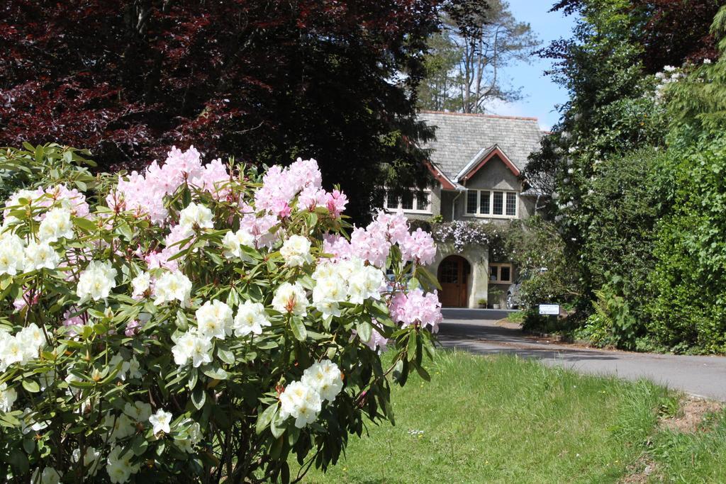 Knapp House Lodges East Anstey Eksteriør billede